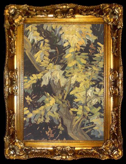 framed  Vincent Van Gogh Blossoming Acaia Branches (nn04), ta009-2